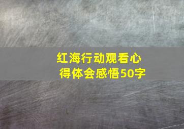 红海行动观看心得体会感悟50字