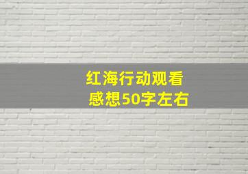 红海行动观看感想50字左右