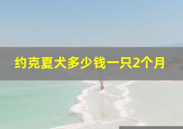 约克夏犬多少钱一只2个月