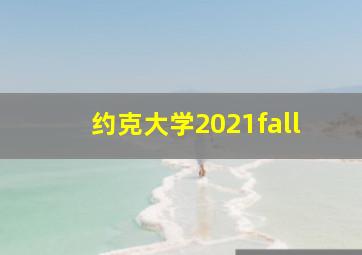 约克大学2021fall