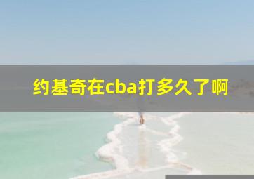 约基奇在cba打多久了啊