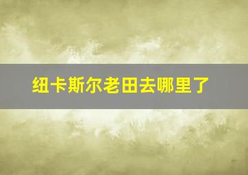 纽卡斯尔老田去哪里了