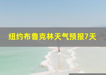 纽约布鲁克林天气预报7天