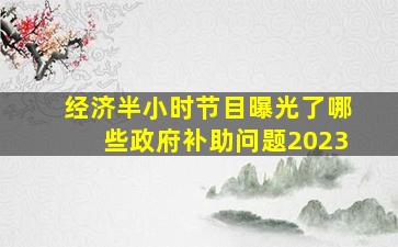 经济半小时节目曝光了哪些政府补助问题2023