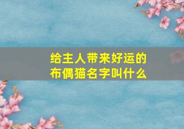 给主人带来好运的布偶猫名字叫什么