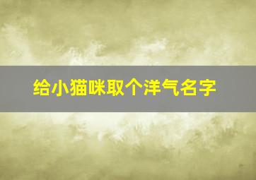 给小猫咪取个洋气名字