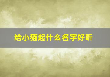 给小猫起什么名字好听