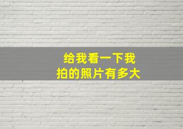 给我看一下我拍的照片有多大