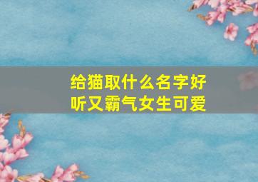 给猫取什么名字好听又霸气女生可爱