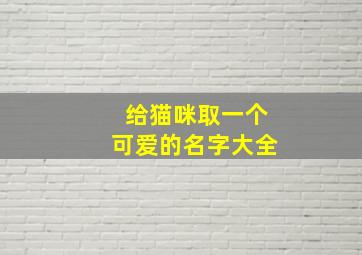 给猫咪取一个可爱的名字大全