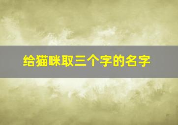 给猫咪取三个字的名字