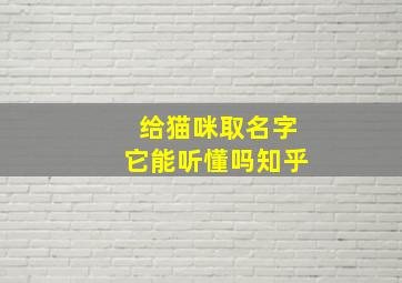 给猫咪取名字它能听懂吗知乎