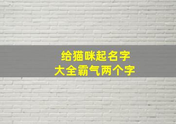 给猫咪起名字大全霸气两个字