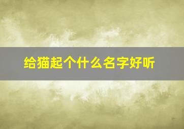 给猫起个什么名字好听