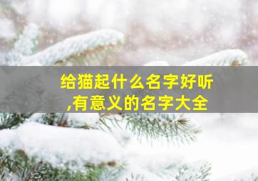 给猫起什么名字好听,有意义的名字大全