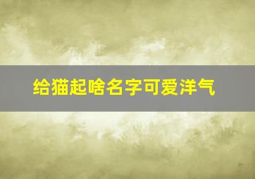 给猫起啥名字可爱洋气