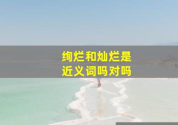 绚烂和灿烂是近义词吗对吗