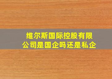 维尔斯国际控股有限公司是国企吗还是私企