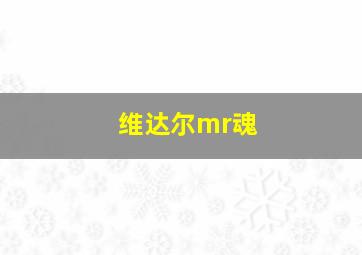 维达尔mr魂