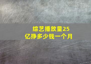 综艺播放量25亿挣多少钱一个月