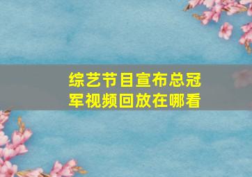 综艺节目宣布总冠军视频回放在哪看