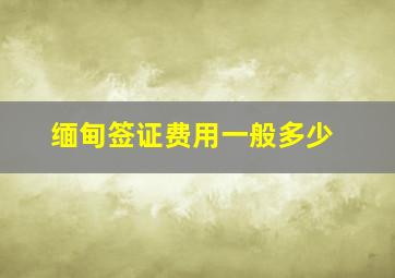 缅甸签证费用一般多少