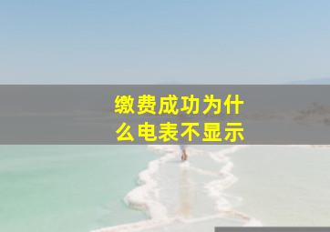 缴费成功为什么电表不显示