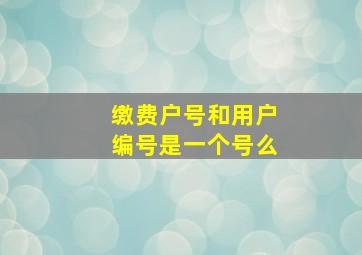 缴费户号和用户编号是一个号么