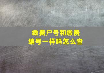 缴费户号和缴费编号一样吗怎么查