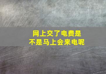 网上交了电费是不是马上会来电呢