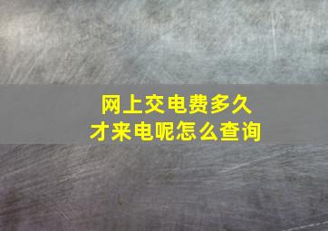 网上交电费多久才来电呢怎么查询