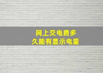 网上交电费多久能有显示电量