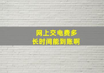 网上交电费多长时间能到账啊