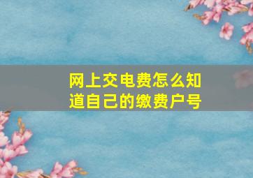 网上交电费怎么知道自己的缴费户号