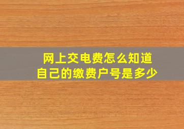 网上交电费怎么知道自己的缴费户号是多少