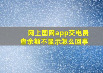 网上国网app交电费查余额不显示怎么回事