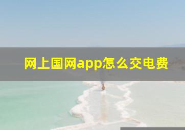 网上国网app怎么交电费