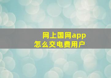 网上国网app怎么交电费用户