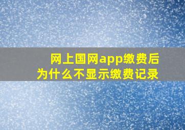 网上国网app缴费后为什么不显示缴费记录