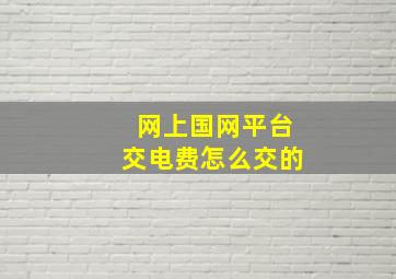 网上国网平台交电费怎么交的