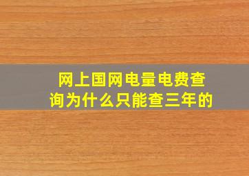 网上国网电量电费查询为什么只能查三年的