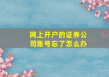 网上开户的证券公司账号忘了怎么办