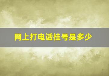 网上打电话挂号是多少