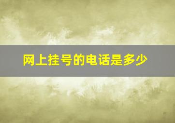 网上挂号的电话是多少