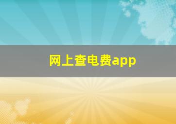 网上查电费app