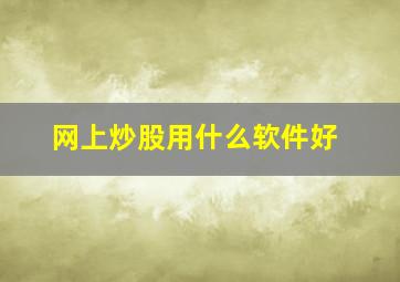 网上炒股用什么软件好