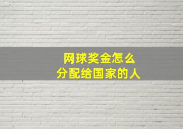 网球奖金怎么分配给国家的人