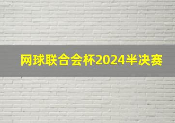 网球联合会杯2024半决赛