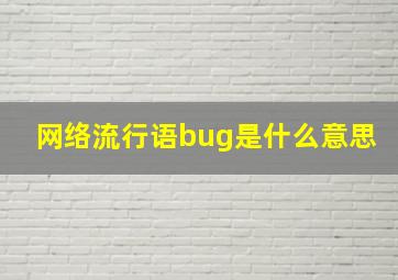 网络流行语bug是什么意思