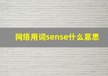 网络用词sense什么意思